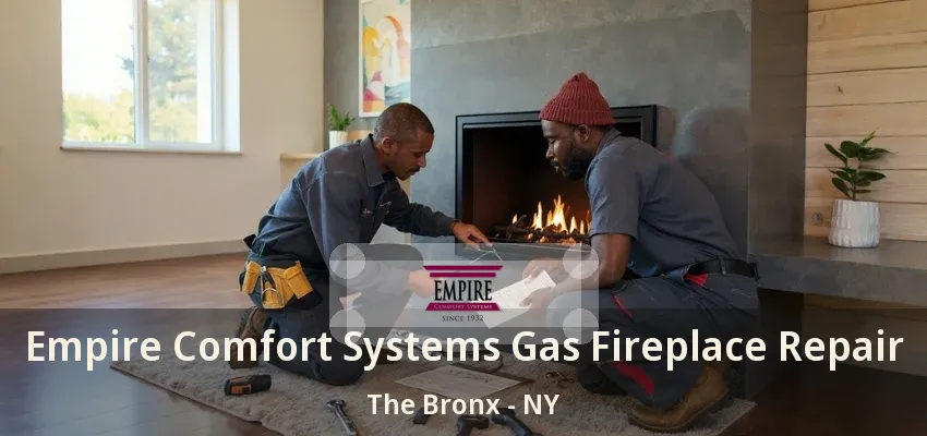 Empire Comfort Systems Gas Fireplace Repair The Bronx - NY Empire Comfort Systems Gas Fireplace Repair The Bronx - NY