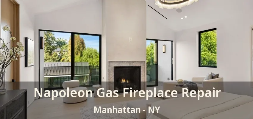 Napoleon Gas Fireplace Repair Manhattan - NY Napoleon Gas Fireplace Repair Manhattan - NY