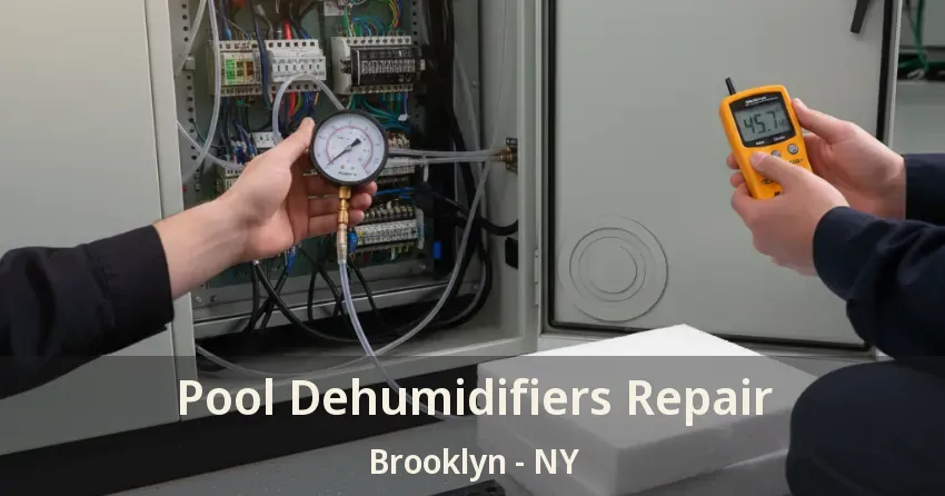 Pool Dehumidifiers Repair Brooklyn - NY Pool Dehumidifiers Repair Brooklyn - NY