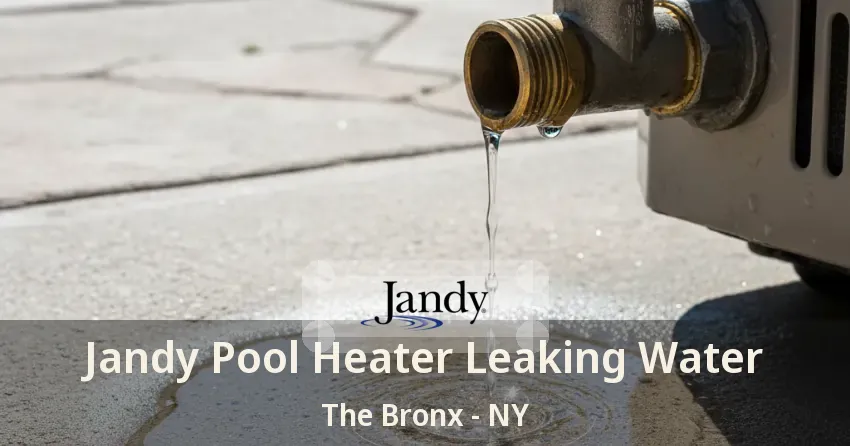 Jandy Pool Heater Leaking Water The Bronx - NY