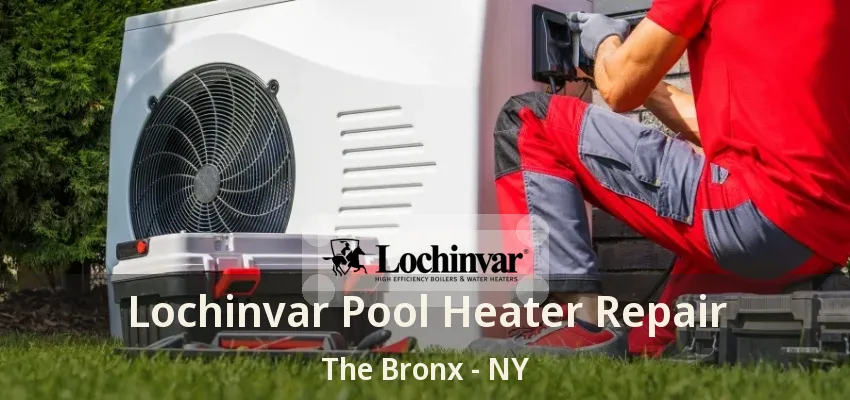 Lochinvar Pool Heater Repair The Bronx - NY