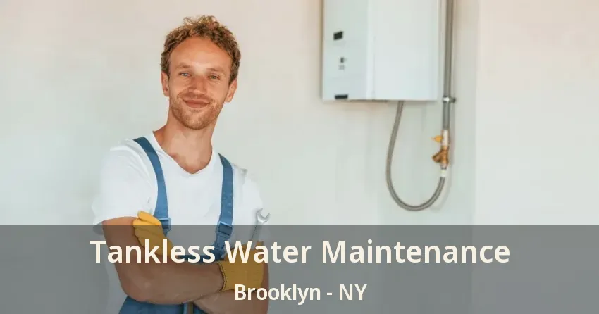 Tankless Water Maintenance Brooklyn - NY Tankless Water Maintenance Brooklyn - NY