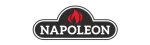 Napoleon Regency Gas Fireplace Repair in Manhattan